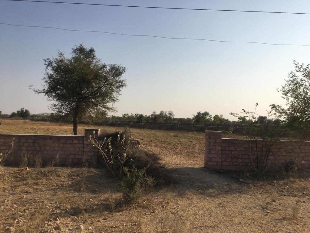 Surana Realtors - Agricultural land in jodhpur